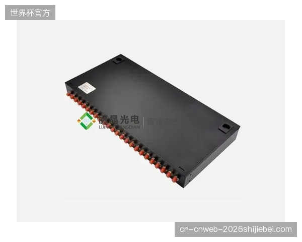 用户终端接盘比赛画面最终调度权限